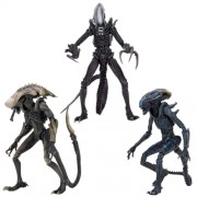 Alien Vs Predator 7" Scale Figures - Alien Assortment (Movie Deco)