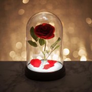 Lights & Lamps - Disney - Beauty And The Beast - Enchanted Rose Light V3