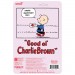 ReAction Figures - Peanuts - Charlie Brown (Valentine Delivery)