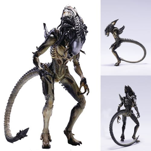 download predalien hiya download predalien hiya