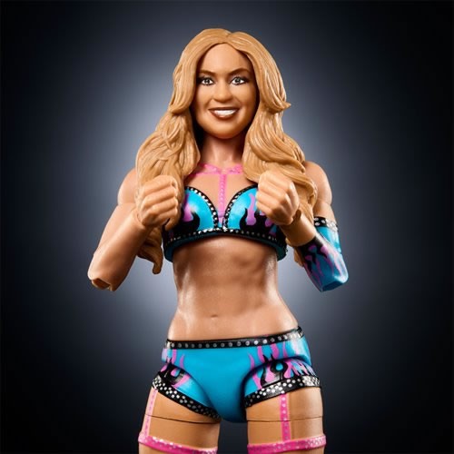 WWE Figures - Elite Collection Series #120 - Assortment - 993J