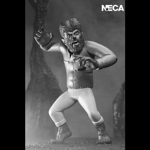 Toony Terrors 6" Scale Figures - Series 10 - Assortment (Silver Screen Edition)