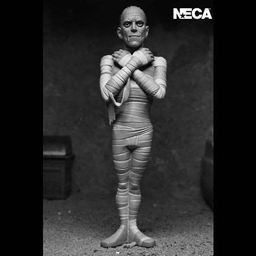 Toony Terrors 6" Scale Figures - Series 10 - Assortment (Silver Screen Edition)