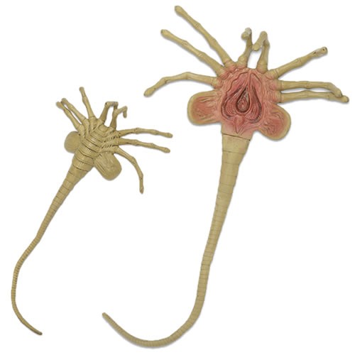 Life-Size Foam Replicas Figures - Alien - 1/1 Scale Facehugger