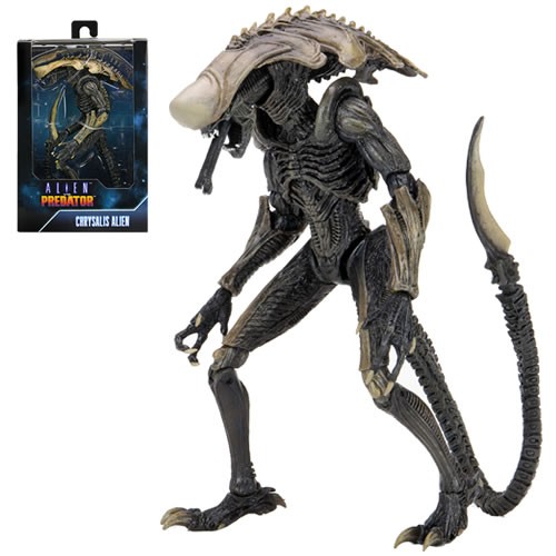 Alien Vs Predator – 7″ Scale Action Figure – Alien Assortment