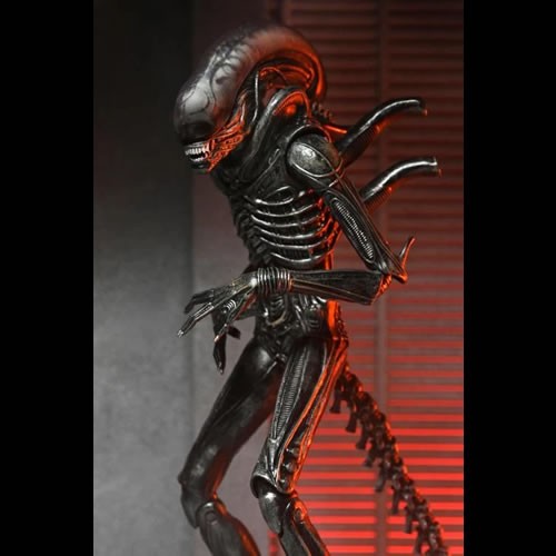 Alien: Romulus 7" Scale Figures - Ultimate Xenomorph XX121