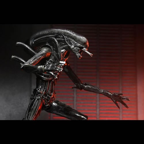 Alien: Romulus 7" Scale Figures - Ultimate Xenomorph XX121