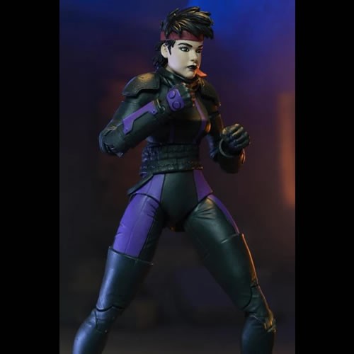 TMNT 7" Scale Figures - IDW Comics - The Last Ronin - Casey Marie With Motorcycle