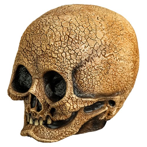 Masks - Illusive Concepts - Cranial Skull (Latex)
