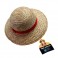 One Piece Roleplay - Monkey D. Luffy Straw Hat (Adult)