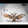 Exquisite Basic Series Figures - Godzilla Vs. King Ghidorah - 13" King Ghidorah (Battle Damaged Ver)