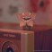 Bitty Boomers Bluetooth Speakers - Stranger Things - Demogorgon Damaged (Season 04)