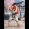 S.H.Figuarts Figures - Street Fighter - Ryu (Outfit 2)