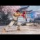 S.H.Figuarts Figures - Street Fighter - Ryu (Outfit 2)