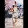 S.H.Figuarts Figures - Street Fighter - Ryu (Outfit 2)