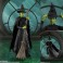 S.H.Figuarts Figures - Wicked - Elphaba