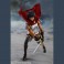 S.H.Figuarts Figures - Berserk - Casca (The Band Of The Hawk)