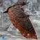 Godzilla Exquisite Basic Series Figures - King Of The Monsters - Rodan EX (Non-Scale)