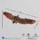 Godzilla Exquisite Basic Series Figures - King Of The Monsters - Rodan EX (Non-Scale)