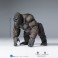 Exquisite Basic Series Figures - Kong: Skull Island (2017 Movie) - Kong (Non-Scale)