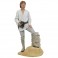 Premier Collection Statues - Star Wars - Luke Dreamer