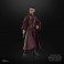 Star Wars Figures - 6" The Black Series - Ep I TPM - Padme Amidala - 5X20