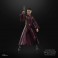 Star Wars Figures - 6" The Black Series - Ep I TPM - Padme Amidala - 5X20