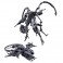 Transformers Gen Figures - Studio Series - Deluxe Class - Assortment - 5L04