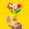 Play-Doh - Sunflowers & Daisies Arts & Crafts Kit - C900