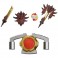 Transformers Figures - TT - Synergenex Series - Transformers X Monster Hunter - Rathalos Prime