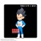 Dragon Ball Figures - Vegeta w/ Panel