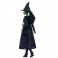 Wicked Dolls - Elphaba Fashion Doll