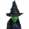 Wicked Dolls - Elphaba Fashion Doll