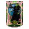 Wicked Dolls - Elphaba Fashion Doll