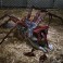 The Thing 7" Scale Figures - Deluxe Ultimate Thing Dog Creature