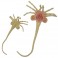 Life-Size Foam Replicas Figures - Alien - 1/1 Scale Facehugger