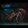 Aliens 7" Scale Figures - Aliens: Fireteam Elite - S01 - Figure Assortment