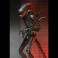 Alien: Romulus 7" Scale Figures - Ultimate Xenomorph XX121