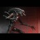 Alien: Romulus 7" Scale Figures - Ultimate Xenomorph XX121