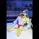 TMNT 7" Scale Figures - Archie Comics - Stump Wrestling Ace Duck