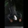 Halloween Resurrection 7" Scale Figures - Ultimate Michael Myers