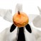 NBX Plush - 13" Zero Interactive Light Up Plush