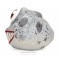 Phunny Plush - Dungeons & Dragons - 8" Eye Monger