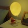 Lights & Lamps - Disney - Winnie The Pooh - Balloon Light