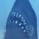 Jaws Statues - 3D Movie Poster Statue (Light Up)