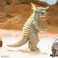ReAction Figures - Toho Godzilla - W07 - 12pc Blind Box Display (Monster Island)
