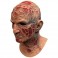 Masks - NOES - Springwood Slasher Deluxe Freddy Mask
