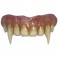 Hammer Film Productions Accessories - Horror Of Dracula (1958 Movie) - Dracula Fangs