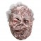 Masks - Trick Or Treat Studios Originals - Dorian Gray