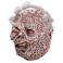Masks - Trick Or Treat Studios Originals - Dorian Gray